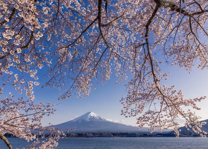 Daikokuya Mt.Fuji